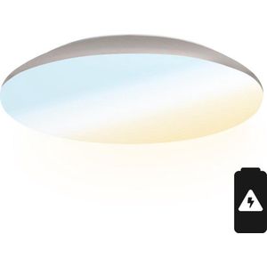 HOFTRONIC - LED Plafondlamp met noodaccu - Plafonnière - Chroom - 18 Watt - IP65 waterdicht - 6500K Daglicht wit - 1900 Lumen - IK10 Stootveilig - Ø30 cm - Geschikt voor badkamer - Voor binnen en buiten - 3 jaar garantie