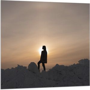 WallClassics - Vlag - Vrouw Poserend op Hoop Sneeuw - 100x100 cm Foto op Polyester Vlag