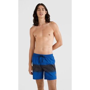 O'neill Zwemkledij CALI STRIPE SHORTS