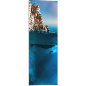 WallClassics - Vlag - Duiker onder Water - 20x60 cm Foto op Polyester Vlag