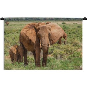 Wandkleed Baby olifant en moeder - Moeder olifant met haar baby in het gras Wandkleed katoen 150x100 cm - Wandtapijt met foto