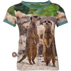 4funkyflavours Jongens T-shirt - Multi - Maat 50/56
