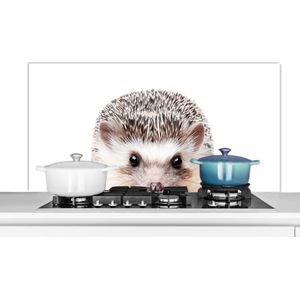 Spatscherm keuken 120x60 cm - Kookplaat achterwand Egel - Dieren - Natuur - Wit - Muurbeschermer - Spatwand fornuis - Hoogwaardig aluminium