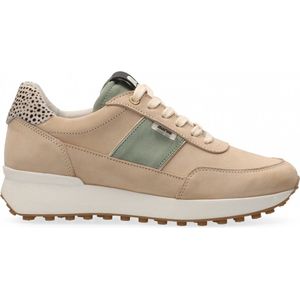 Maruti  - Lois Sneakers Bruin - Beige / Green - 38