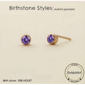 Borasi Birthstone Oorbellen Februari | Goldplated | Violet | Dames Sieraden |