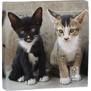 2 Pakjes papieren lunch servetten - Kittens