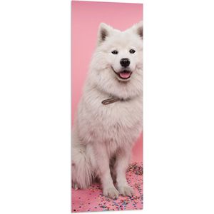 WallClassics - Vlag - Portret van Witte Hond tegen Roze Achtergrond met Confetti - 40x120 cm Foto op Polyester Vlag