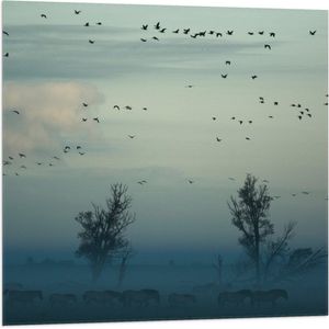 WallClassics - Vlag - Paarden in de Mist - 80x80 cm Foto op Polyester Vlag