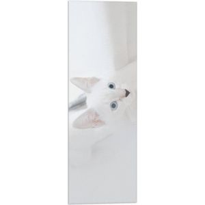 WallClassics - Vlag - Witte omhoogkijkende Kat met Blauwe Ogen - 20x60 cm Foto op Polyester Vlag