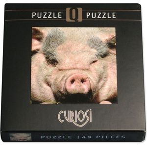 Curiosi Q-puzzel (extra moeilijk) - Varken (49 stukjes)