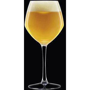 Bierglazen – beer glas - set - duurzaam – luxe bierglazen set