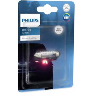 Philips Ultinon Pro3000 C10W 43mm 11864U30CWB1