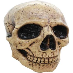 Partychimp Skelet Schedel Tanned Volledig Hoofd Halloween Masker voor bij Halloween Kostuum Volwassenen Carnaval - Latex - One size