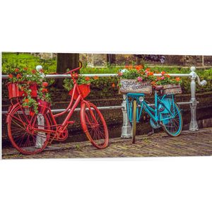 WallClassics - PVC Schuimplaat - Rood/Blauwe Fietsen met Bloemen Gevuld - 100x50 cm Foto op PVC Schuimplaat (Met Ophangsysteem)