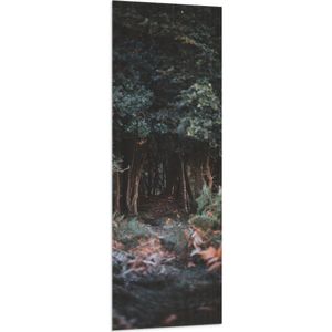 WallClassics - Vlag - Donker Groen Bos - 50x150 cm Foto op Polyester Vlag