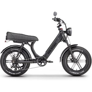 Ape Ryder MD10 Premium Elektrische Fatbike 250W / 48V / 14.5AH / 20Inch Zwart