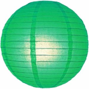 5 x Lampion groen 45 cm