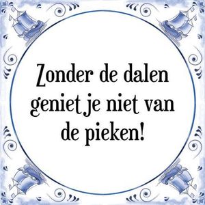 Tegeltje met Spreuk (Tegeltjeswijsheid): Zonder de dalen geniet je niet van de pieken! + Kado verpakking & Plakhanger