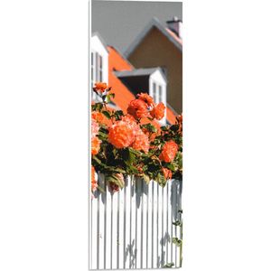 WallClassics - PVC Schuimplaat - Witte Schutting met Roze Tuinrozen - 20x60 cm Foto op PVC Schuimplaat (Met Ophangsysteem)