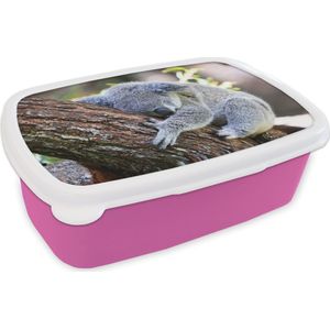 Broodtrommel Roze - Lunchbox - Brooddoos - Koala - Boomstam - Knuffel - Kids - Jongens - Meiden - 18x12x6 cm - Kinderen - Meisje