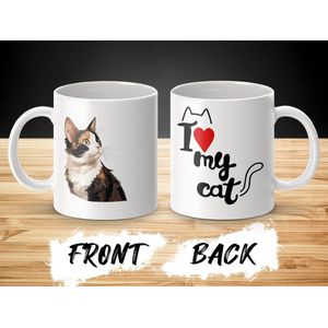 Mok Japanese Bobtail cat - kat - I love my cat - cat lovers - katten