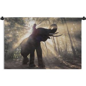 Wandkleed Junglebewoners - Olifant met persoon in fel zonlicht Wandkleed katoen 180x120 cm - Wandtapijt met foto XXL / Groot formaat!