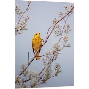 WallClassics - Vlag - Gele Vogel op Tak met Bloemen - Mangrovezanger - 80x120 cm Foto op Polyester Vlag