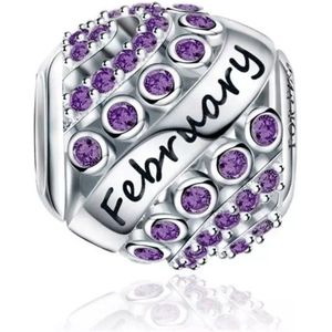 Februari Maand Bedel - Sterling Zilver & Paarse Zirkonia - RomyStones