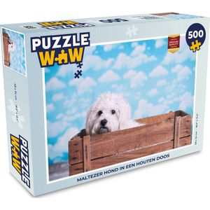 Puzzel Maltezer hond in een houten doos - Legpuzzel - Puzzel 500 stukjes