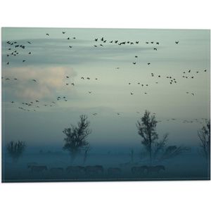 WallClassics - Vlag - Paarden in de Mist - 40x30 cm Foto op Polyester Vlag