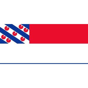 Vlag Nederland met inzet Friese vlag 80x120cm
