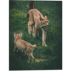 WallClassics - Vlag - Baby Lynx met Moeder achter Hek - 30x40 cm Foto op Polyester Vlag