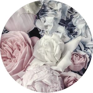 Tizato - Muurcirkel Bloemen Roze en Witte Roos – Wandcirkel Vinyl op Vliesbehang – Ø 146 cm