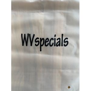 WVspecials - Zwembad Schepnet - Zwembad Accessoires - Skimmer - Onderhoud - Zwembad Net - Zomer - Intex - Bestway - Intex schepnet