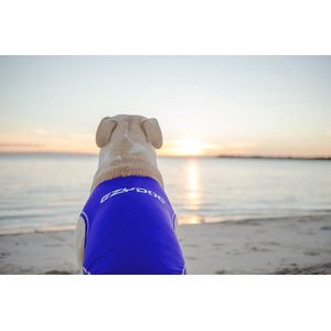 EzyDog Rashies Shirt voor Honden - Hondenkleding - 35cm - Blauw