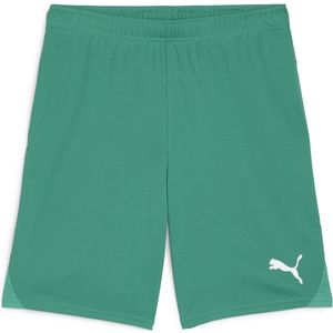 PUMA teamGOAL Shorts Heren Sportbroek - Sport Green-PUMA Wit - Maat XL