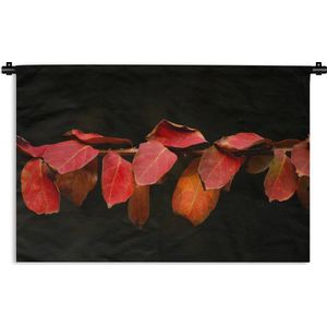 Wandkleed Planten op een zwarte achtergrond - De rode bladeren op een zwarte achtergrond Wandkleed katoen 90x60 cm - Wandtapijt met foto