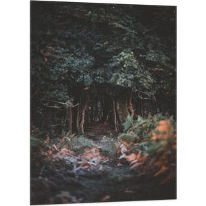 WallClassics - Vlag - Donker Groen Bos - 70x105 cm Foto op Polyester Vlag
