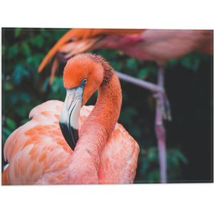 WallClassics - Vlag - Close-Up van een Flamingo - 40x30 cm Foto op Polyester Vlag