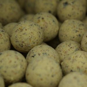 Milky Boilie 20mm - Boilies - 10KG