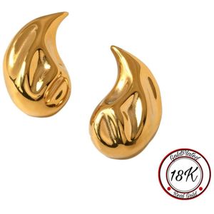 Borasi Druppel Oorbel | 18K Goldplated | Goud | Elegante dames oorbel | Cadeau Voor Haar | Verjaardag Cadeau | Luxe Geschenkzakje | Dames Sieraden | Moederdag Cadeau | Sieraden | Goud Sieraden | Elegant |