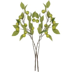 DK Design Kunstbloem fruit tak met appels - 2x - 76 cm - groen - Kunst zijdebloemen