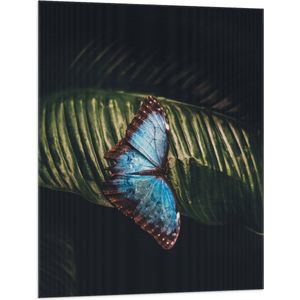 WallClassics - Vlag - Blauw met Zwarte Vlinder op Groen Blaadje - 75x100 cm Foto op Polyester Vlag