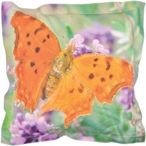 Buitenkussen vlinder L