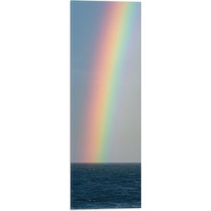 WallClassics - Vlag - Heldere Regenboog Landend in Zeewater - 20x60 cm Foto op Polyester Vlag