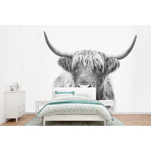 Schotse hooglander - Dieren - Hoorns - Zwart wit - Behangpapier