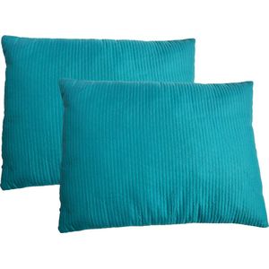 2x Plain - Sierkussen - Zacht - SyndonFill ® - Wasbaar - 60x70cm - Aqua