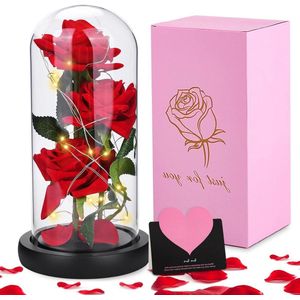 Beauty and the Beast roos in glazen stolp met LED-verlichting - Romantische cadeaus voor Valentijnsdag, Moederdag, Huwelijksverjaardag