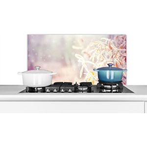 Spatscherm keuken 80x40 cm - Kookplaat achterwand Winter - Takken - Sneeuw - Natuur - Muurbeschermer - Spatwand fornuis - Hoogwaardig aluminium