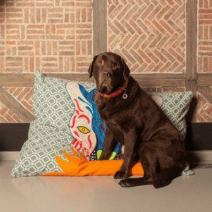 DWAM Dog with a Mission – Rocking Tiger - Hondenmand – Hondenkussen - Groen - Oranje - Blauw – Rechthoek - Maat L - 85 x 115 cm